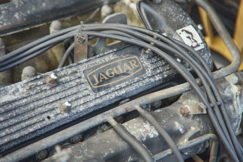 1984 Jaguar XJ6 3.4 En venta (imagen 181 de 205)