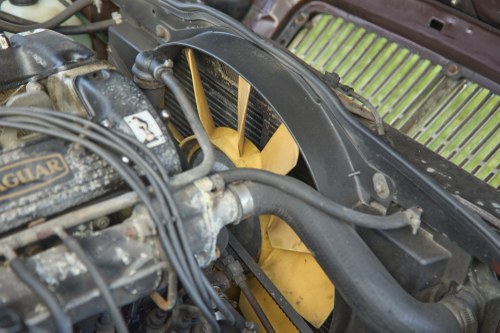 1984 Jaguar XJ6 3.4 En venta (imagen 188 de 205)