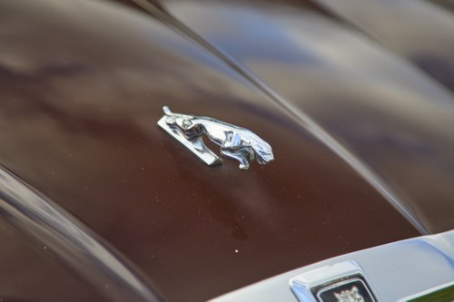 1984 Jaguar XJ6 3.4 En venta (imagen 157 de 205)