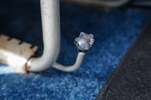 1936 Standard Flying Twelve Te koop (foto 70 van 250)