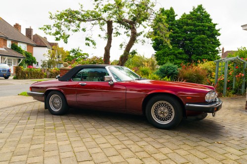 1990 Jaguar XJ-S Convertible V12 For Sale (picture 14 of 296)