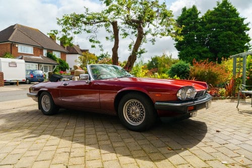 1990 Jaguar XJ-S Convertible V12 For Sale (picture 2 of 296)