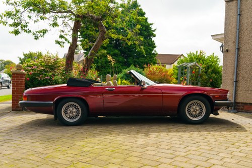 1990 Jaguar XJ-S Convertible V12 For Sale (picture 7 of 296)