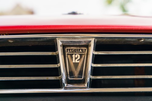 1990 Jaguar XJ-S Convertible V12 For Sale (picture 122 of 296)