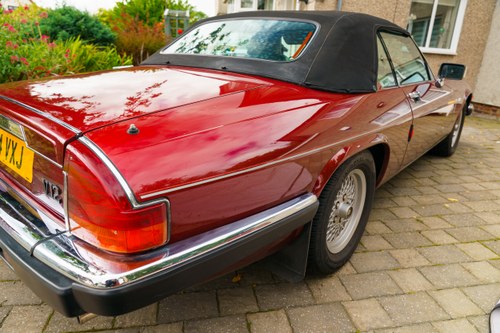 1990 Jaguar XJ-S Convertible V12 For Sale (picture 152 of 296)