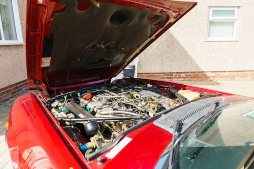 1990 Jaguar XJ-S Convertible V12 For Sale (picture 170 of 296)