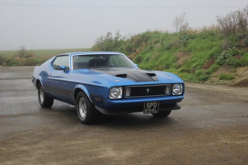 1973 Ford Mustang Mach 1 For Sale (picture 22 of 136)