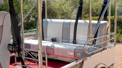 2016 Global Tuk Tuk à vendre (picture 33 of 106)