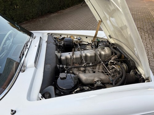 1965 Mercedes-Benz 230SL (W113) In vendita (immagine 75 di 97)