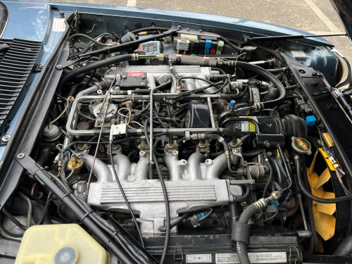 1988 Jaguar XJ-S V12 Convertible For Sale (picture 170 of 214)