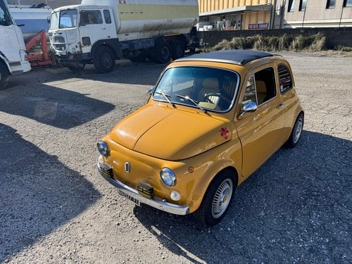 1969 Fiat 500 L 650cc In vendita (immagine 1 di 95)