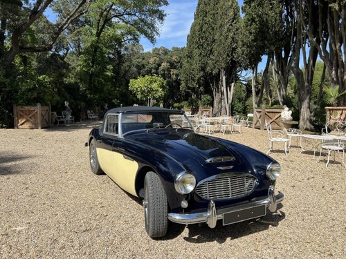 AUSTIN HEALEY 3000 MK1 - 1961 En Venta