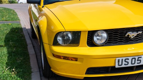 2005 Ford Mustang GT S197 In vendita (immagine 142 di 243)