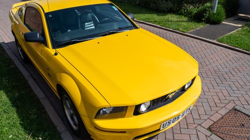 2005 Ford Mustang GT S197 In vendita (immagine 151 di 243)