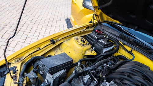 2005 Ford Mustang GT S197 In vendita (immagine 183 di 243)