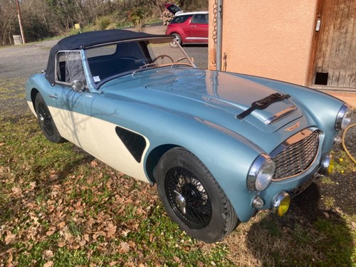 AUSTIN HEALEY 3000 100/6 - 1958 Kaufen Bei