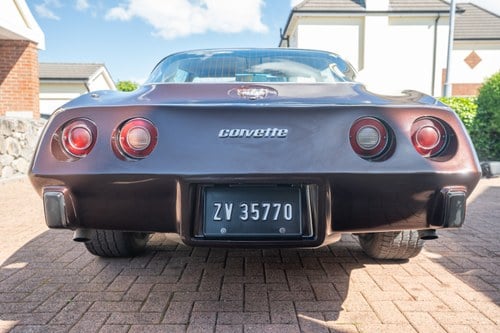 1978 Chevrolet Corvette C3 Targa L82 In vendita (immagine 12 di 145)