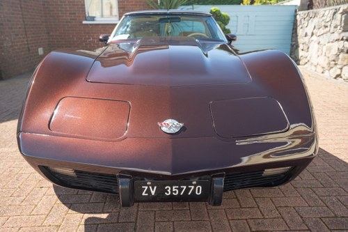 1978 Chevrolet Corvette C3 Targa L82 In vendita (immagine 13 di 145)