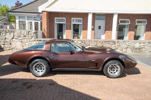 1978 Chevrolet Corvette C3 Targa L82 In vendita (immagine 16 di 145)