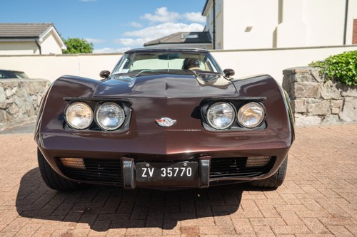 1978 Chevrolet Corvette C3 Targa L82 In vendita (immagine 21 di 145)