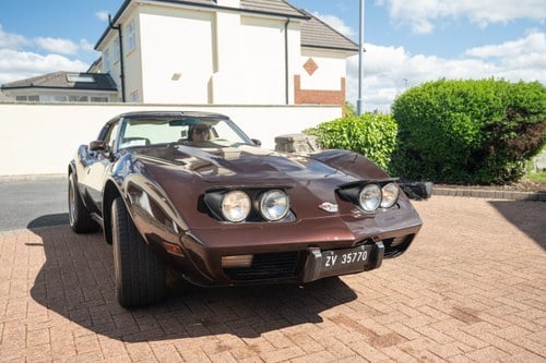 1978 Chevrolet Corvette C3 Targa L82 In vendita (immagine 22 di 145)