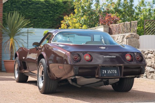 1978 Chevrolet Corvette C3 Targa L82 In vendita (immagine 6 di 145)