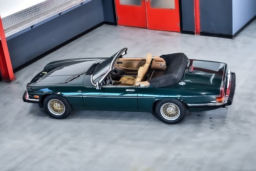 1989 Jaguar XJS Convertible 5,3L V12 (75k miles) à vendre (picture 29 of 111)