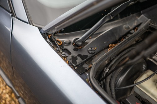 1999 BMW E36 328i Convertible Automatic For Sale (picture 158 of 226)