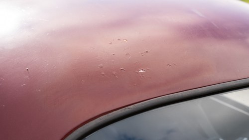 1952 Morris Minor Series II Mongol Rally Car à vendre (picture 117 of 202)