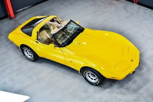 1979 Chevrolet Corvette C3 L-82 Targa 350CI V8 In vendita (immagine 19 di 83)