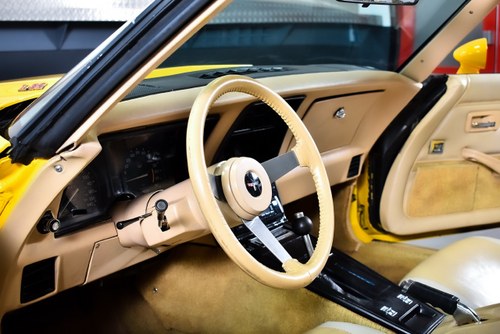 1979 Chevrolet Corvette C3 L-82 Targa 350CI V8 In vendita (immagine 43 di 83)