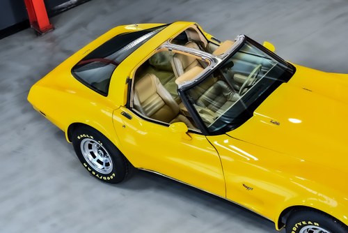 1979 Chevrolet Corvette C3 L-82 Targa 350CI V8 In vendita (immagine 65 di 83)