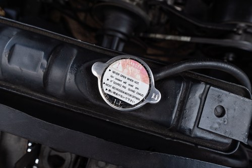 1966 Ford Mustang 289CI C-Code Hard Top Coupe In vendita (immagine 92 di 104)