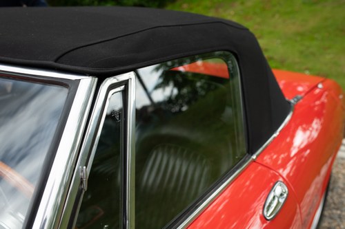 1977 Alfa Romeo 2000 Spider Veloce Series 2 In vendita (immagine 88 di 113)