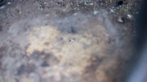 1970 Lotus Elan +2S à venda (imagem 61 de 265)