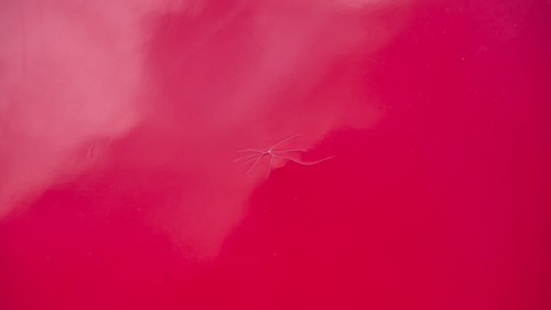 1970 Lotus Elan +2S à venda (imagem 110 de 265)