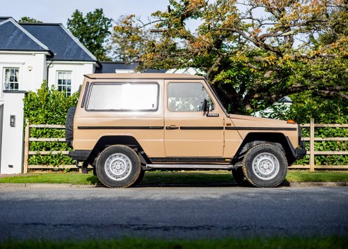 1987 Mercedes-Benz 230 GE For Sale by Auction