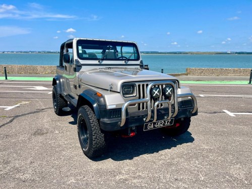 1991 JEEP Wrangler YJ 4.0L Kaufen Bei