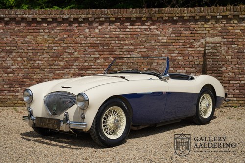 1954 Austin Healey 100M Roadster 100M Le Mans Registry For Sale