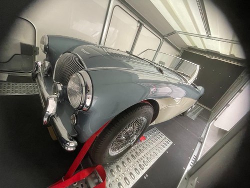 1955 AUSTIN HEALEY 100 BN1 In vendita