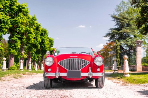 1955 AUSTIN HEALEY 100 BN1 À venda