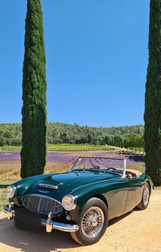 1960 AUSTIN HEALEY 3000 MK1 BT7 À venda