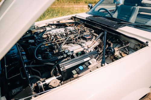 1988 Jaguar XJ-S V12 Convertible à vendre (picture 137 of 156)