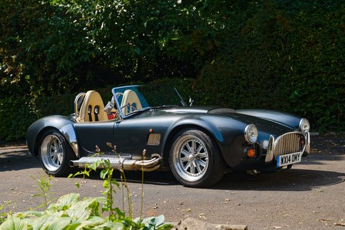 2014 Dax Cobra In vendita (immagine 15 di 116)