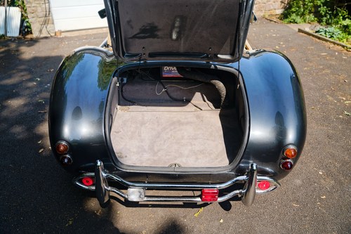 2014 Dax Cobra In vendita (immagine 65 di 116)