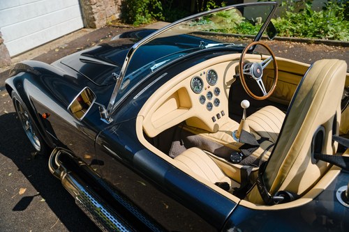 2014 Dax Cobra In vendita (immagine 35 di 116)