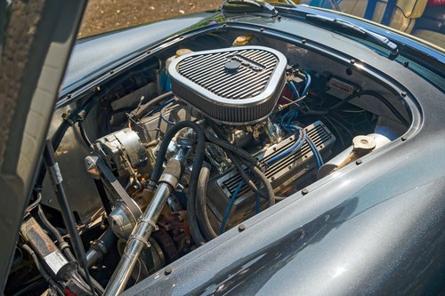 2014 Dax Cobra In vendita (immagine 87 di 116)