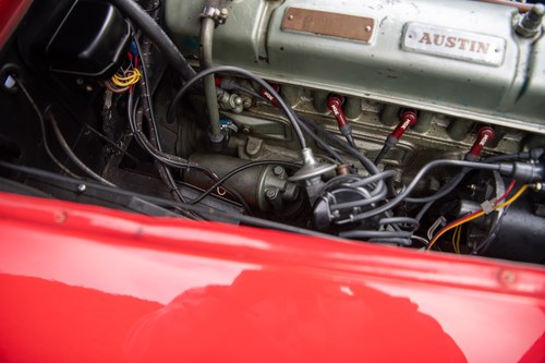 1957 Austin Healey 100-6 BN6 2+2 For Sale (picture 129 of 202)