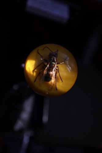 1954 Volkswagen Beach Buggy 2180cc In vendita (immagine 57 di 210)