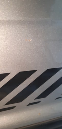 1984 Subaru Leone In vendita (immagine 42 di 74)